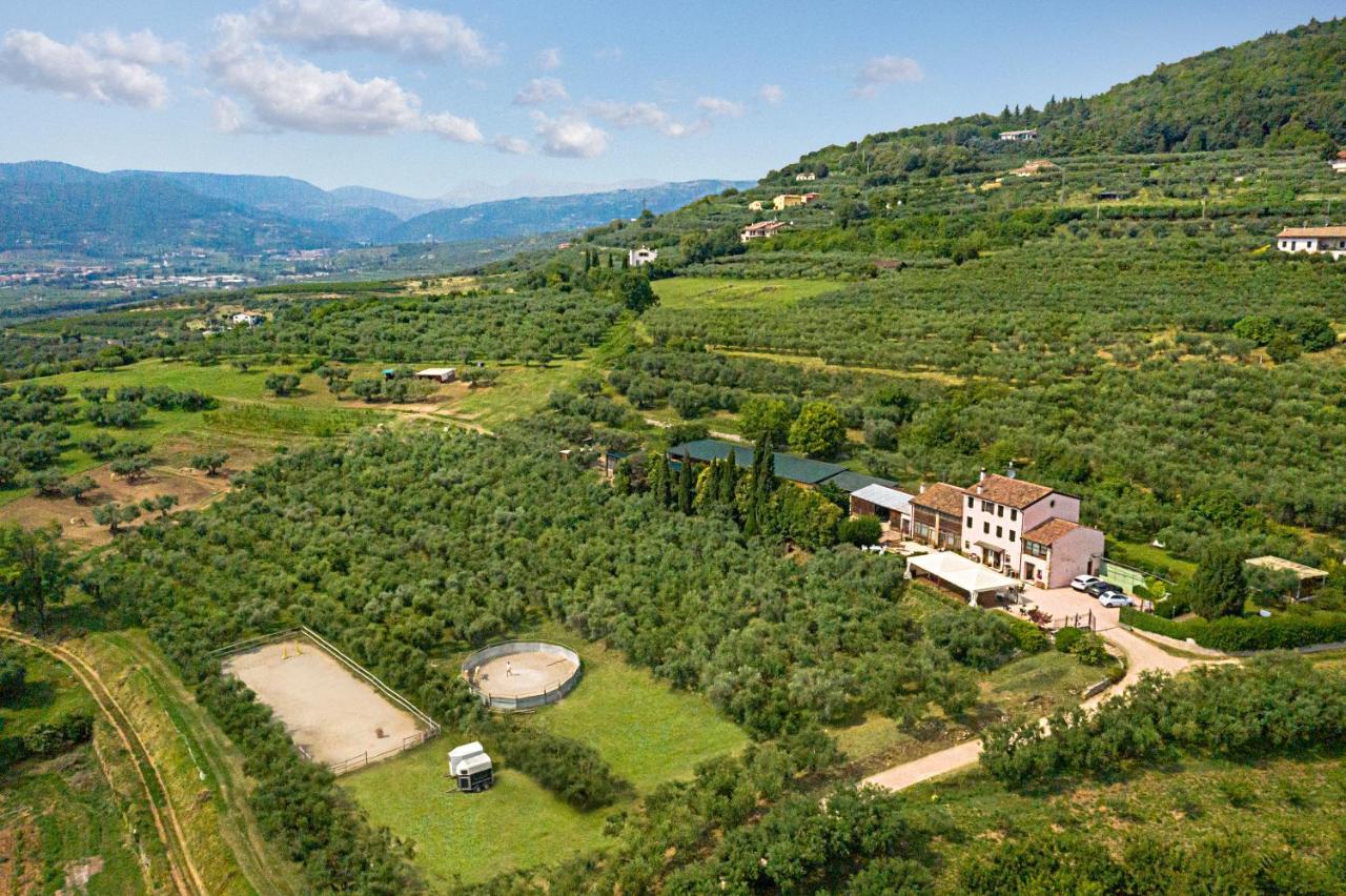 Agriturismo Casa Rosa - Verona